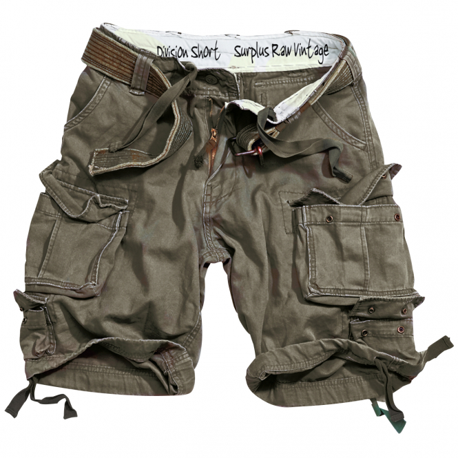 Surplus Men's Division Shorts (olive) Sz. L